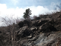 rra delle Concazze-201100508 006